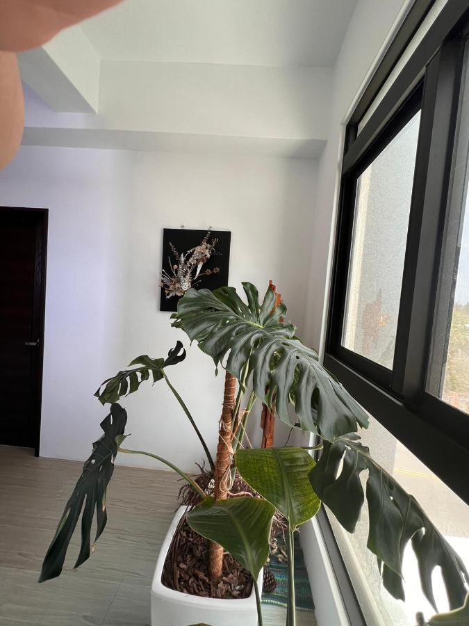 The Bird'S Nest B&B Magong Εξωτερικό φωτογραφία